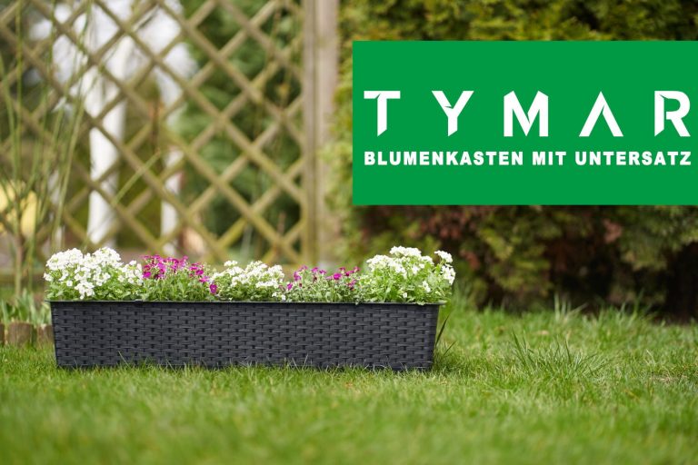 Blumenübertopf groß – Designideen für moderne Wohnräume und große Zimmerpflanzen