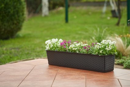 Blumenübertopf groß – Designideen für moderne Wohnräume und große Zimmerpflanzen